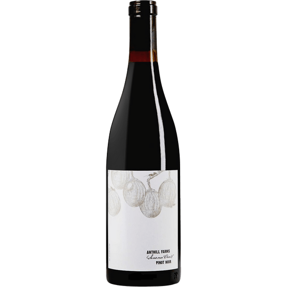 Anthill Farms Pinot Noir, Sonoma Coast 2021