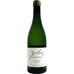 Bodega Chacra Chardonnay 2022