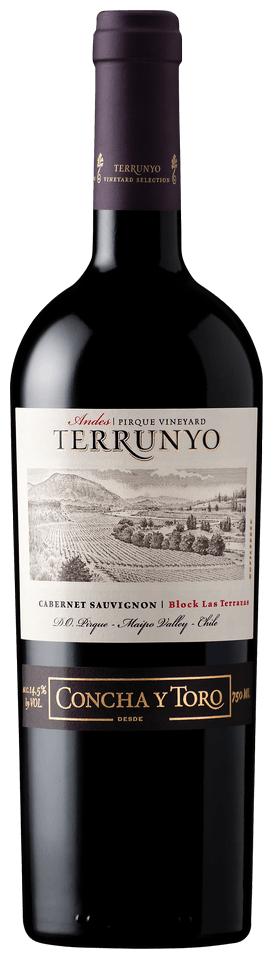 Concha y Toro 'Terrunyo' Block Las Terrazas "Pirque" Cabernet Sauvignon 2014