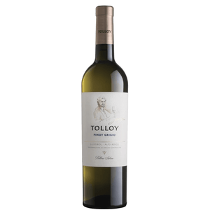 Tolloy Pinot Grigio, Alto Adige 2022